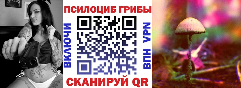 Псилоцибиновые грибы MAGIC MUSHROOMS  Тамбов 